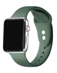 Silicone Band with Pins for Apple Watch