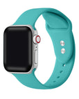 Silicone Band with Pins for Apple Watch