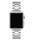 Stainless Steel Apple Watch® Band on Wrist