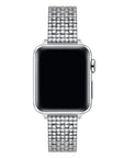 Silver Stainless Steel Chain Apple Watch® Band on Wrist by Posh Tech