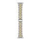 Rainey Bi-Color Stainless Steel Link Replacement Band for Apple Watch